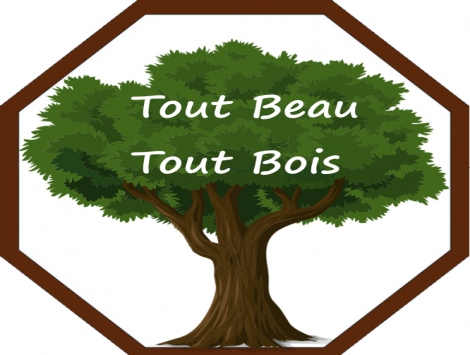 TOUT BEAU TOUT BEAU - LA MINI ENTREPRISE DU COLLEGE